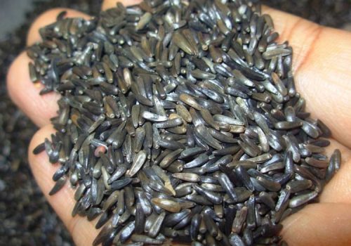 U3281d4c5e9214dc0bf9dbc100ce54b46O