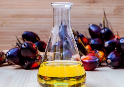 Alternate fuel , bio diesel in laboratory glass and red palm fruits set up on wooden background.